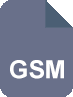 지원 형식: GSM